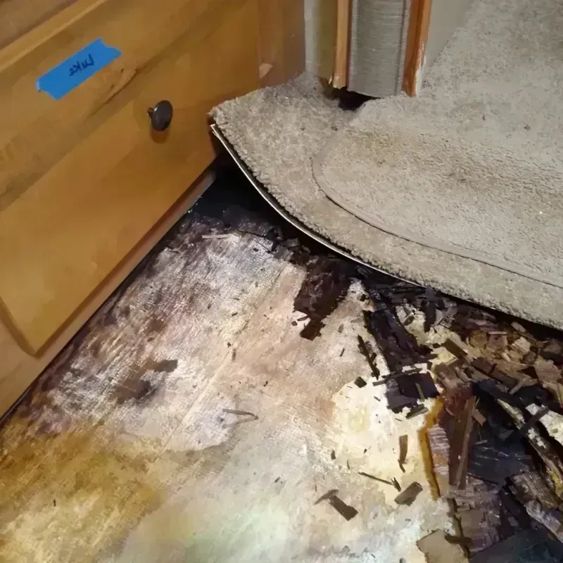 Wood Floor Water Damage in Moorcroft, WY